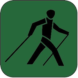 icon nordic walking 250px